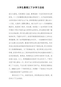 大学生暑期三下乡学习总结