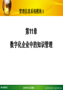 第11章_数字化企业中的知识管理