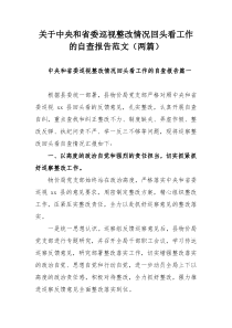 关于中央和省委巡视整改情况回头看工作的自查报告范文（两篇）