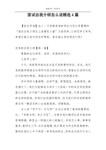 面试自我介绍怎么说精选4篇