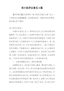 党小组评议意见4篇