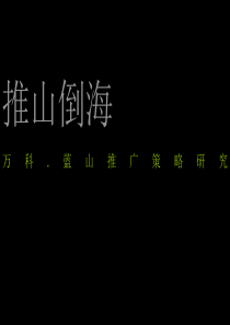 青岛万科蓝山项目推广策略报告174P