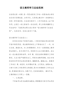 语文教师学习总结范例