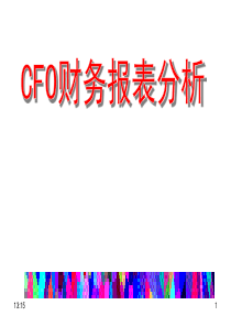 CFO财务报表分析讲义(ppt 182) 