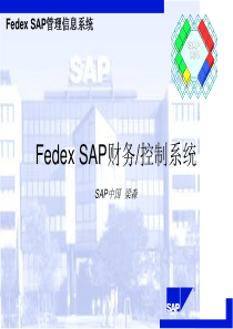 FedexSAP财务控制系统(ppt46)(1)