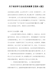 关于培训学习总结范例集聚【范例4篇】