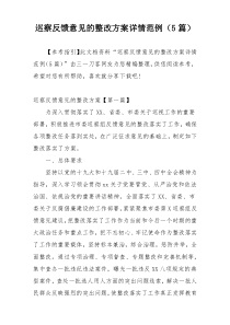 巡察反馈意见的整改方案详情范例（5篇）