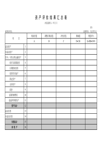 中平协评估明细表（新企业会计制度）aaw