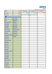 丁字帐汇总及财务表
