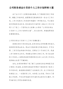 公司财务部会计员的个人工作计划样例5篇