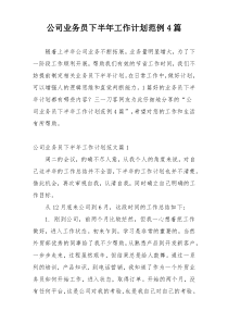 公司业务员下半年工作计划范例4篇