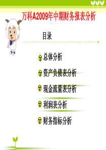 万科财务报表分析