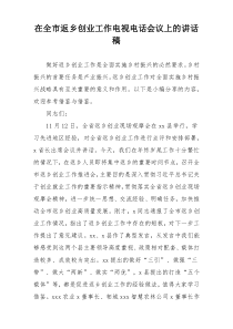 在全市返乡创业工作电视电话会议上的讲话稿