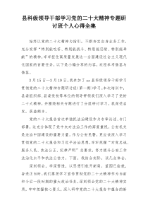 县科级领导干部学习党的二十大精神专题研讨班个人心得全集