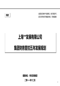 集团财务管控五年发展规划