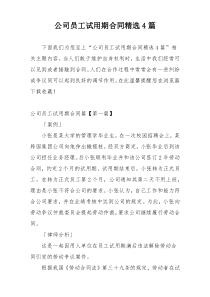 公司员工试用期合同精选4篇