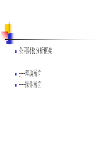 [管理][财务]公司财务分析