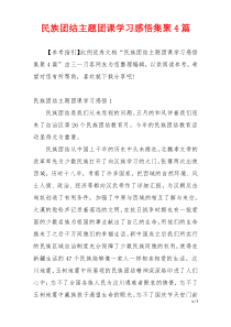 民族团结主题团课学习感悟集聚4篇