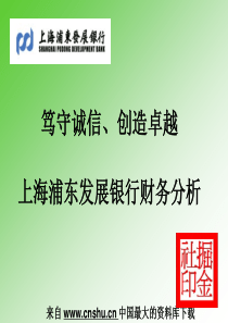 【会计课件—上海浦东发展银行财务分析】（PPT44页）