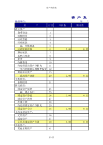 会计报表的格式和内容(xls)