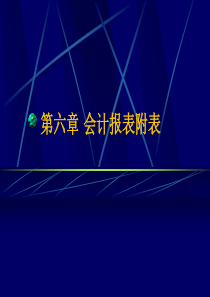 会计报表附表