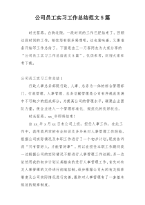 公司员工实习工作总结范文5篇