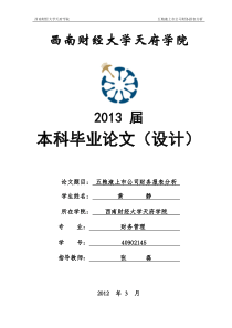 五粮液上市公司财务报表分析