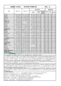 上海能源（600508）财务经济分析