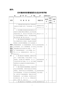 农村集体财务管理规范化试点村考评表(doc5)(1)