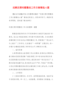 巡察反馈问题整改工作方案精选4篇