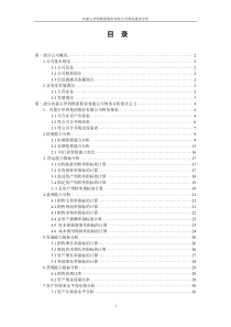 伊利集团财务报表分析