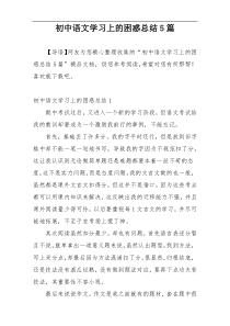 初中语文学习上的困惑总结5篇