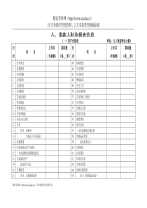 借款人财务报表信息