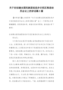 关于在创建全国民族团结进步示范区推进动员会议上的讲话稿3篇