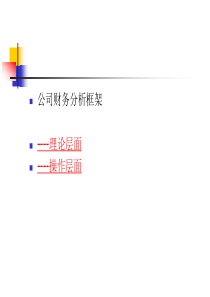 公司财务分析框架