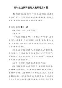 青年担当演讲稿范文集聚通用5篇