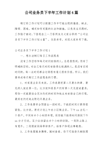 公司业务员下半年工作计划4篇