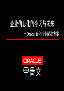 Oracle_石化行业解决方案