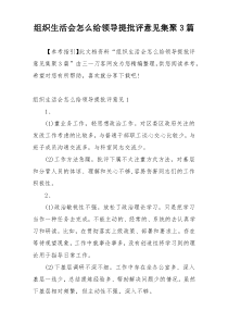 组织生活会怎么给领导提批评意见集聚3篇