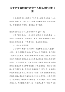 关于党支部组织生活会个人检视剖析材料8篇