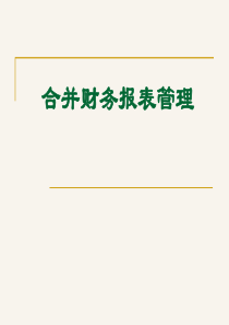 合并财务报表管理