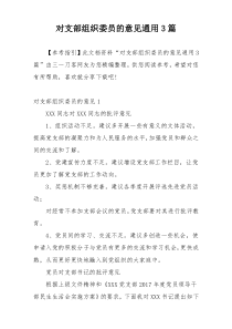 对支部组织委员的意见通用3篇