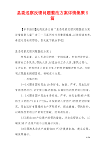 县委巡察反馈问题整改方案详情集聚5篇