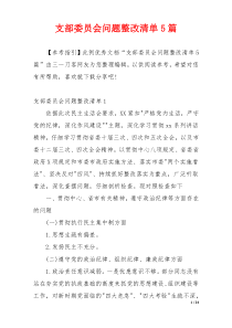 支部委员会问题整改清单5篇