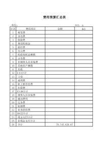 某集团公司财务年度预算表格