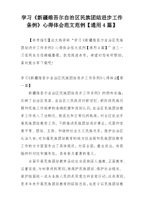 学习《新疆维吾尔自治区民族团结进步工作条例》心得体会范文范例【通用4篇】