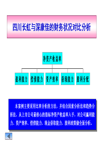 四川长虹与深康佳的财务状况对比分析