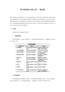 客户财务能力分析工具——雷达图