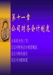 公司财务会计制度(ppt30)