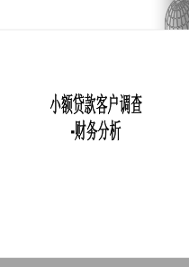 小额贷款客户调查-财务报表编制与分析